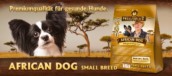 african-dog-small-breed-banner-pes