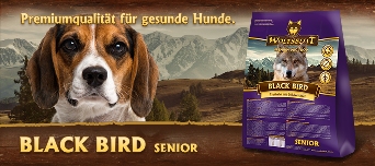 black-bird-dog-senior-krmivo-granule-konzerva-pes-bez-obilovin-alergie
